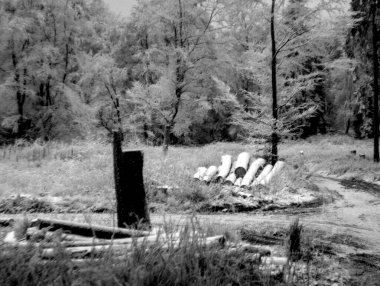 Ormandaki paslı metal çitler.