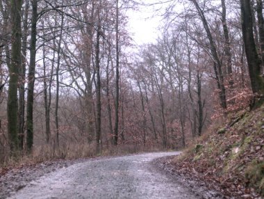 Karlı güzel bir manzara.