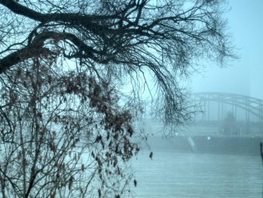 Kar ve ağaçlarla dolu güzel bir sonbahar parkı.