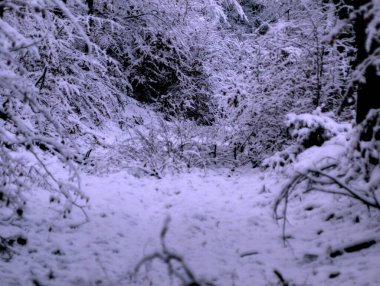 Karda güzel kış manzarası