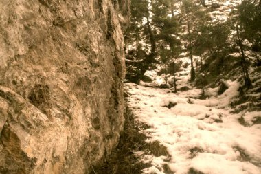 Kış dağı nehri. Kardaki dağ deresi.