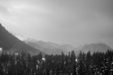 siyah ve beyaz kar kışın dağ manzarasını kapladı