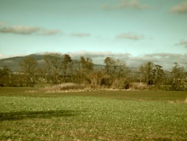 Ağaçlar ve mavi gökyüzü olan güzel bir manzara.