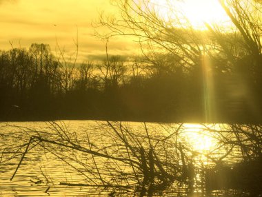 Ormanda güzel bir gün batımı
