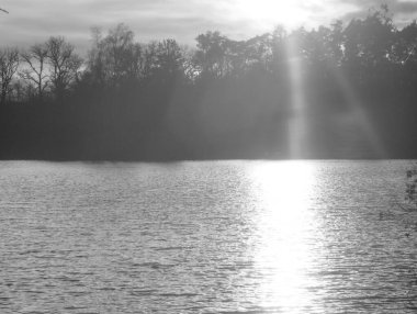 Ağaçlar ve ormanlarla dolu güzel bir manzara.