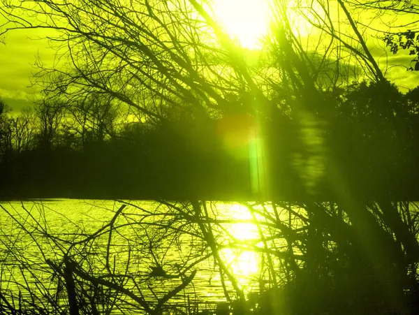 Ormanda güzel bir gün batımı