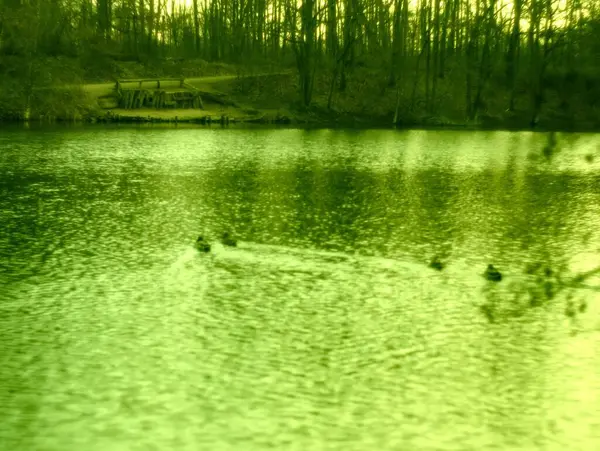 Parktaki nehrin güzel manzarası