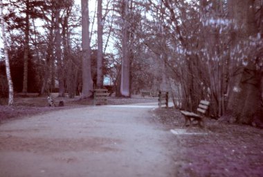 Parktaki eski ahşap bank.