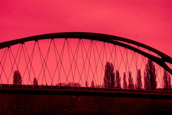 Parktaki şehir manzarası