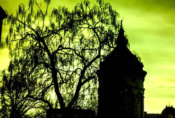 Şehrin eski kasabası.