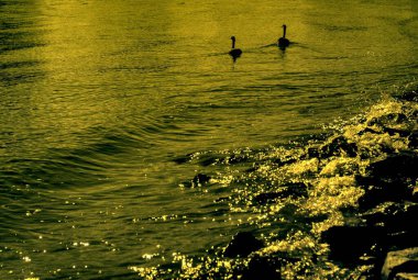 Güzel deniz manzarası