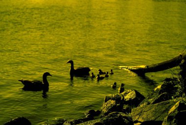 Güzel deniz manzarası