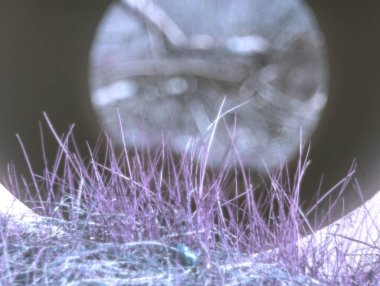 Bokeh ışıkları ile soyut arkaplan