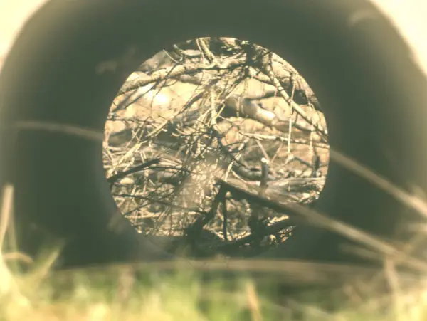 Siyah beyaz bir metal pencerenin soyut arkaplanı