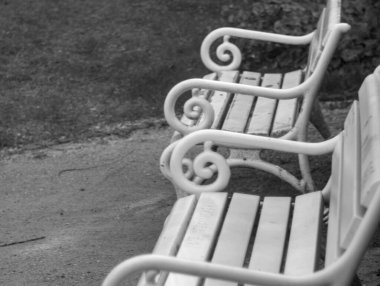 Almanya 'da baharda parkta