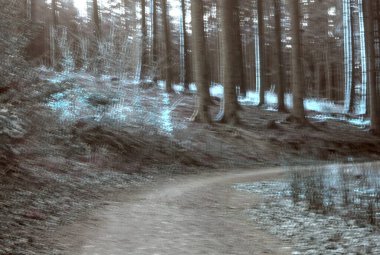 Dağlardaki güzel orman