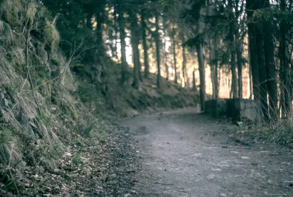 Güzel sonbahar manzarası. arkaplan, doku.