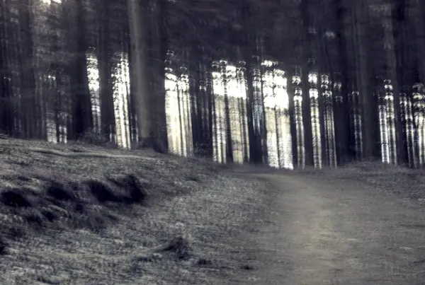 Dağların güzel manzarası