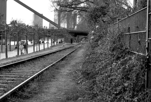 Demiryolu rayları, demiryolu rayları