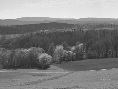 Çimen ve ağaç tarlası olan güzel bir manzara.