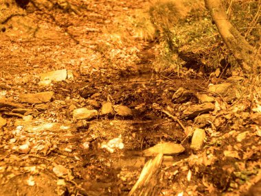 Küçük bir deresi ve taşları olan güzel bir nehrin dikey görüntüsü.