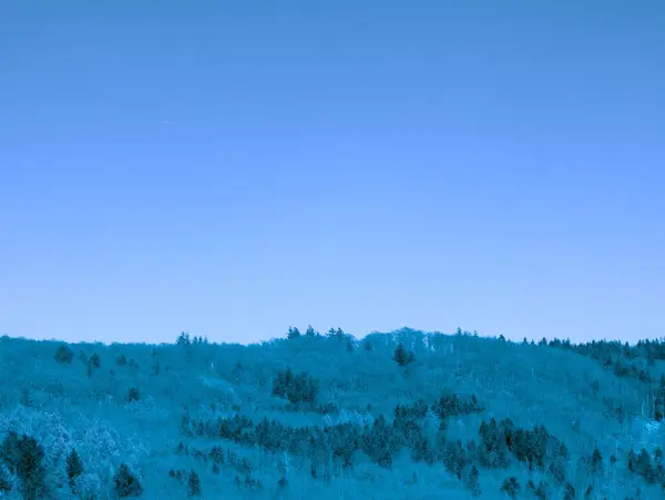Kış manzarası. karla kaplı ağaçlar ve mavi gökyüzü