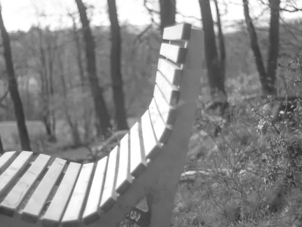 Parktaki ahşap bank.