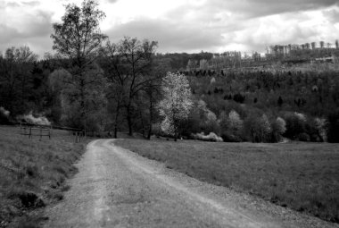 Bir yolun siyah beyaz fotoğrafı
