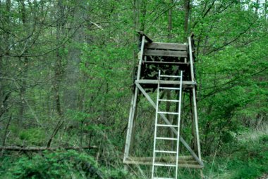 Tepedeki eski ahşap merdivenler