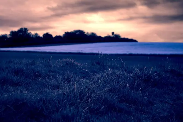 Buğday tarlası ve mavi gökyüzü olan güzel bir manzara.