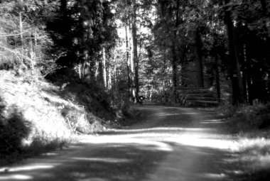 Yolun siyah ve beyaz resmi