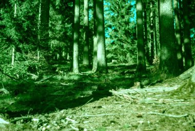 Dağların güzel manzarası