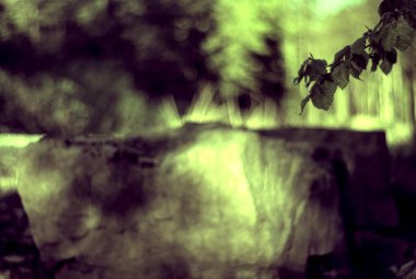 Ormandaki eski taş duvar