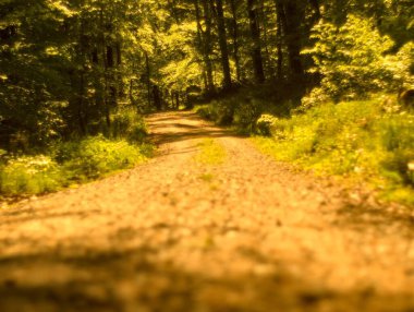 Almanya 'da ilkbaharda doğa
