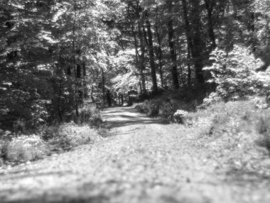 Almanya 'da ilkbaharda doğa