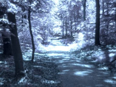 Almanya 'da ilkbaharda doğa