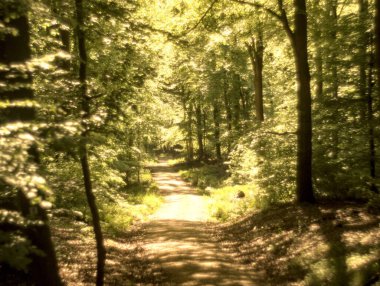 Almanya 'da ilkbaharda doğa