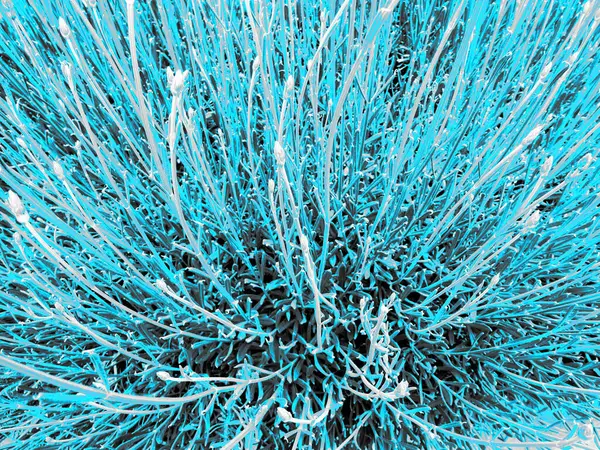 soyut mavi renk arkaplanı