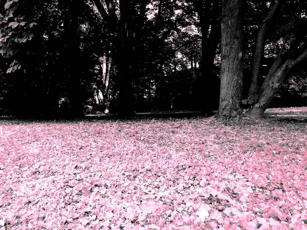 Güzel botanik fotoğrafı, doğal duvar kağıdı.