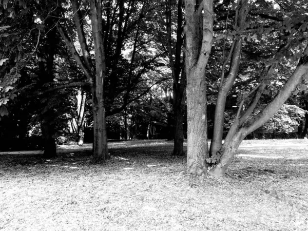 Parkın güzel manzarası