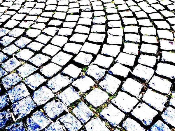 Parktaki kaldırım yolu.