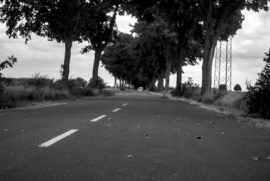 Kırsalda asfalt yol