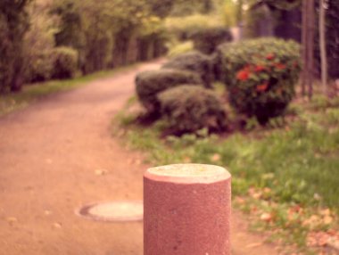 Sonbahar sezonunda parkta taş kaldırım.