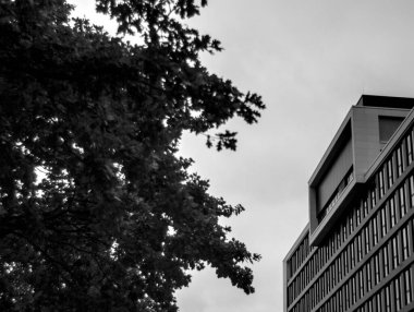 Şehrin modern binası