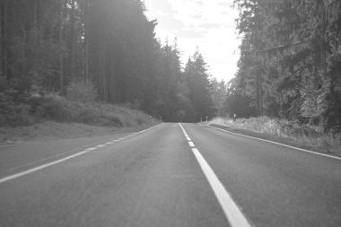 Sabah ormanda asfalt yol bomboş. siyah ve beyaz