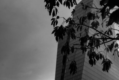 Şehrin modern binası