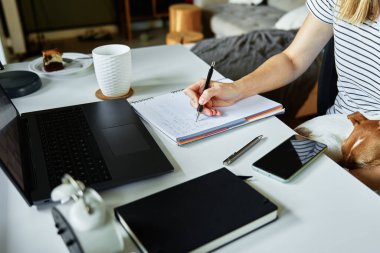 Ev işyerinde laptoplu. Uzaktan çalışan bir kadın, dizüstü bilgisayar kullanıyor. Not defterine köpek çizen yaratıcı bir serbest yazar.