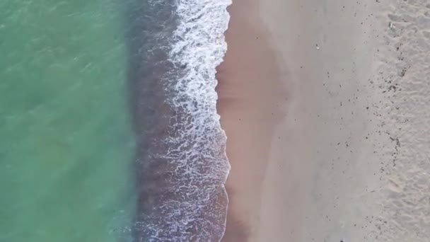 Вид Воздуха Море Волнами Песчаным Пляжем Летний Отдых Балтийском Море — стоковое видео