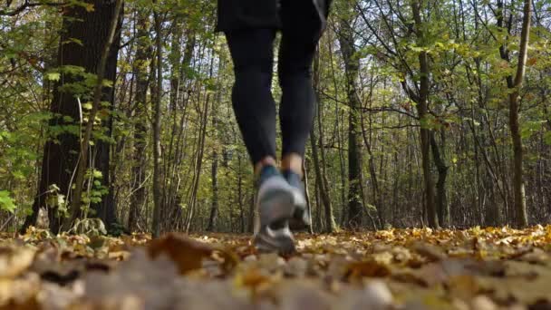 Widok Człowieka Pomarańczowej Odzieży Sportowej Biegającego Jesiennym Parku Biegający Mężczyzna — Wideo stockowe