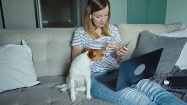 Kanepede oturan, köpeği okşayan ve dizüstü bilgisayarla çalışan bir kadın. Merkez ofis işyeri. Evden uzakta çalışan serbest çalışan bir kadın.